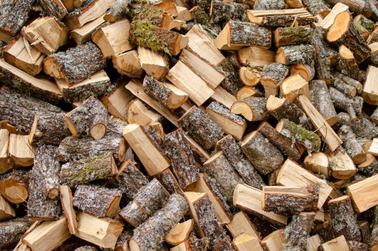 view of oak wood cut and stacked for drying